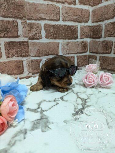 PXL_20251004_073240882