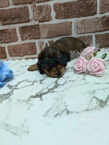 PXL_20251004_073243439