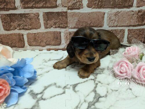 PXL_20251004_073255871