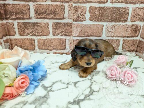 PXL_20251004_073256485